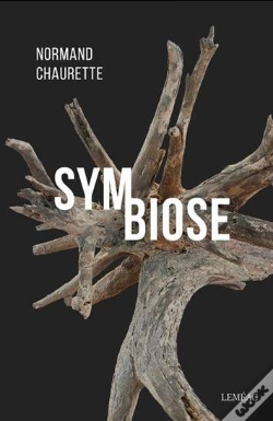 Capa do artigo Symbiose
