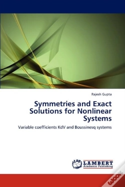 Capa do artigo Symmetries And Exact Solutions For Nonlinear Systems