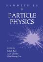 Symmetries In Particle Physics - Preview