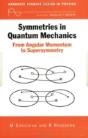 Symmetries In Quantum Mechanics - Preview