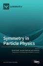 Symmetry In Particle Physics - Preview