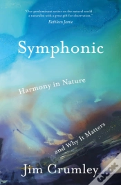 Capa do artigo Symphonic