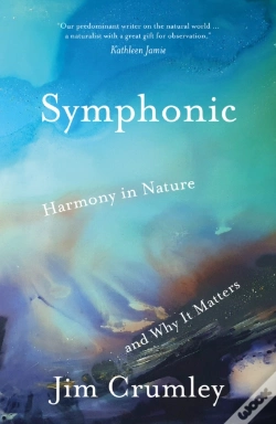 Capa do artigo Symphonic