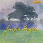 Symphonies Nos 90, 91, 92 "Wallenstein Symphonies" - CD - Preview