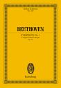 Symphony No. 1 C Major - Preview