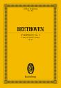 Symphony No. 5 C Minor - Preview