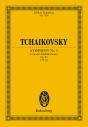 Symphony No. 5 E Minor - Preview
