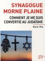Synagogue Morne Plaine - Preview