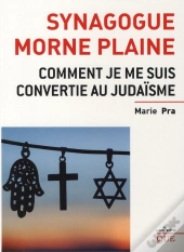 Synagogue Morne Plaine