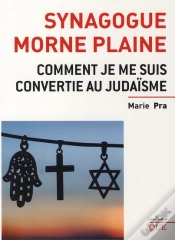 Capa do artigo Synagogue Morne Plaine