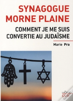 Capa do artigo Synagogue Morne Plaine