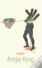 Capa do artigo Synapse