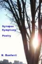 Synapse Symphony - Preview