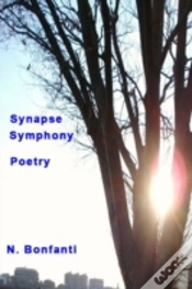 Capa do artigo Synapse Symphony