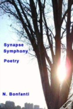 Capa do artigo Synapse Symphony