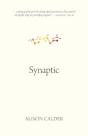 Synaptic - Preview