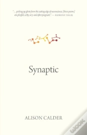 Capa do artigo Synaptic