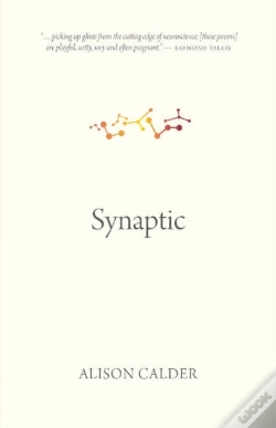 Capa do artigo Synaptic
