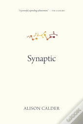 Synaptic