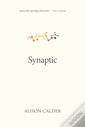 Capa do artigo Synaptic