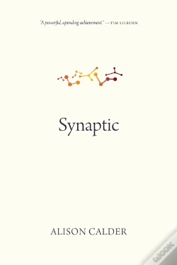 Capa do artigo Synaptic