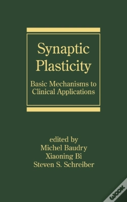 Capa do artigo Synaptic Plasticity