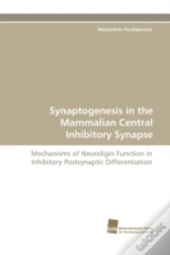 Synaptogenesis In The Mammalian Central Inhibitory Synapse