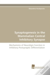 Capa do artigo Synaptogenesis In The Mammalian Central Inhibitory Synapse