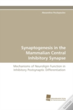 Capa do artigo Synaptogenesis In The Mammalian Central Inhibitory Synapse