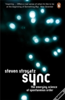 Capa do artigo Sync