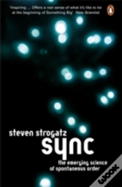 Capa do artigo Sync