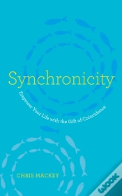 Capa do artigo Synchronicity
