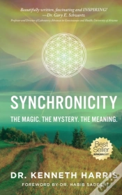 Capa do artigo Synchronicity