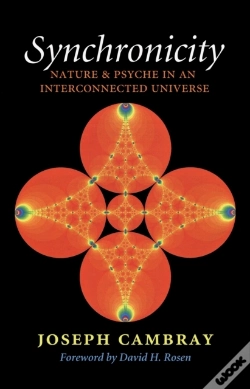 Capa do artigo Synchronicity