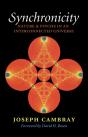 Synchronicity: Nature And Psyche In An Interconnected Universe - Preview