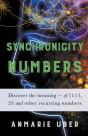 Synchronicity Numbers - Preview