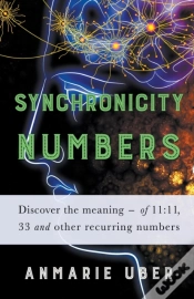 Capa do artigo Synchronicity Numbers