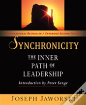Capa do artigo Synchronicity: The Inner Path Of Leadership
