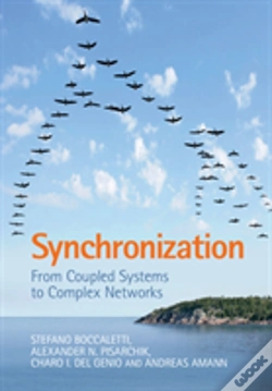 Capa do artigo Synchronization