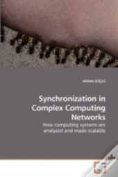 Synchronization In Complex Computing Net