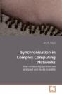 Synchronization In Complex Computing Net - Preview