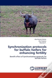 Synchronization Protocols For Buffalo Heifers For Enhancing Fertility