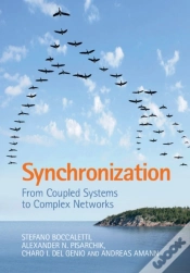 Capa do artigo Synchronization