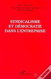 Syndicalisme Et Democratie Dans L'Entreprise