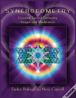 Capa do artigo Synergeometry