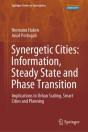 Synergetic Cities: Information, Steady State And Phase Transition - Preview