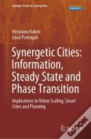 Synergetic Cities: Information, Steady State And Phase Transition