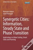 Synergetic Cities: Information, Steady State And Phase Transition