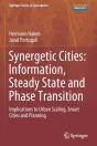 Synergetic Cities: Information, Steady State And Phase Transition - Preview