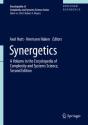 Synergetics - Preview